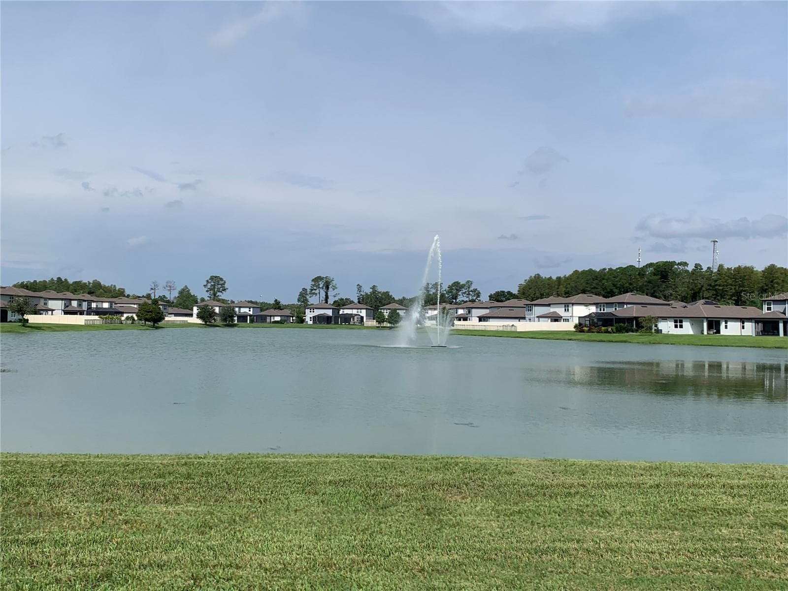 Pond - 20651 MONZA LOOP, LAND O LAKES
