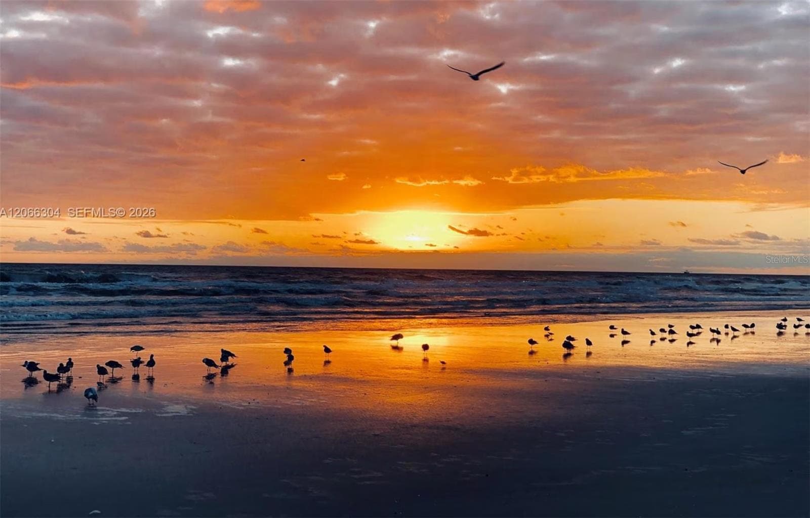 Condominium at 100 SILVER BEACH AVE #720, DAYTONA BEACH, photo 90 of 92