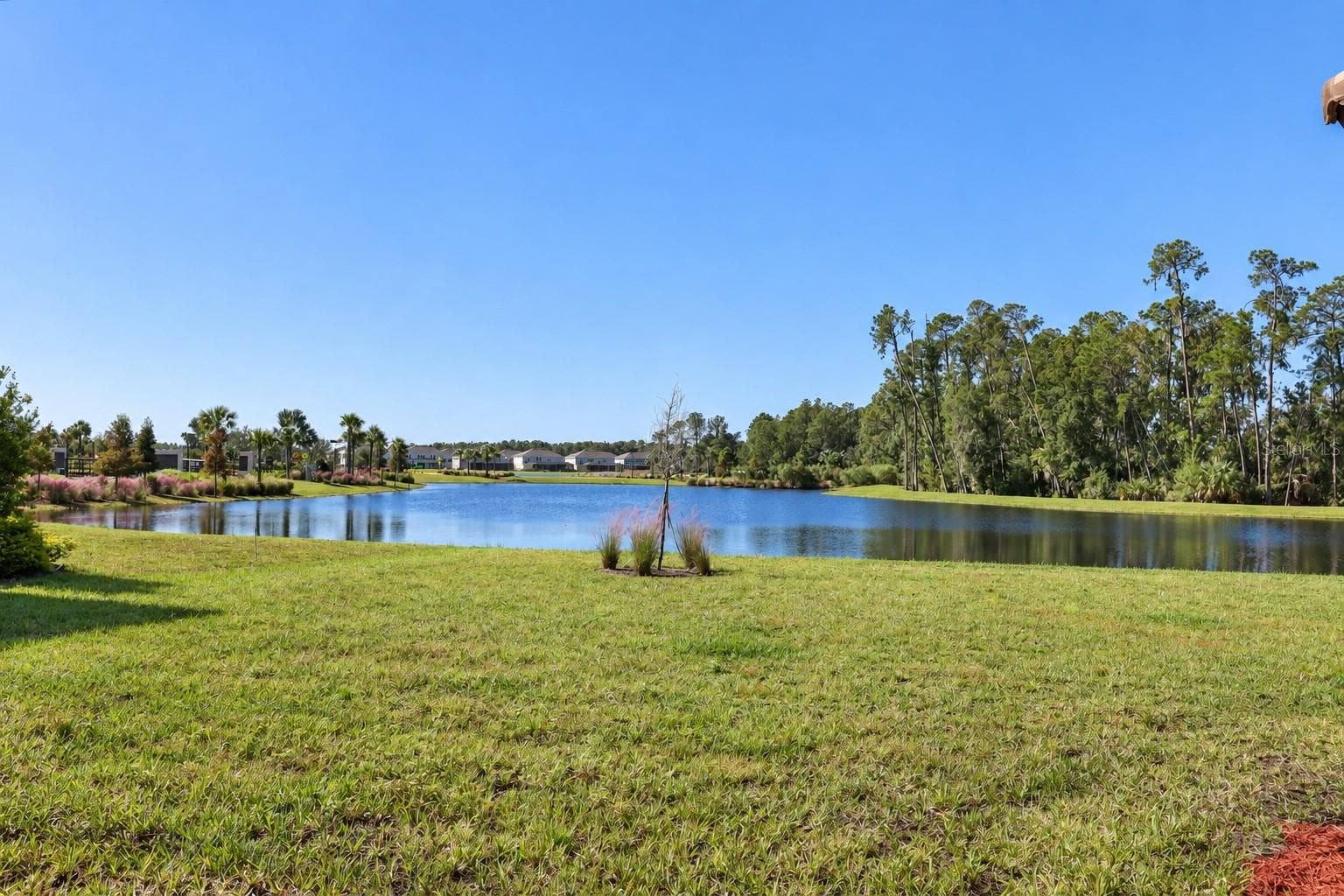 Single Family Residence at 33826 OCEAN SPRAY LN, WESLEY CHAPEL, photo 56 of 65