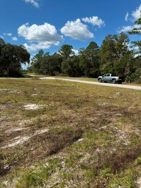 Land at xxx SW 59TH CT, OCALA, photo 2 of 8