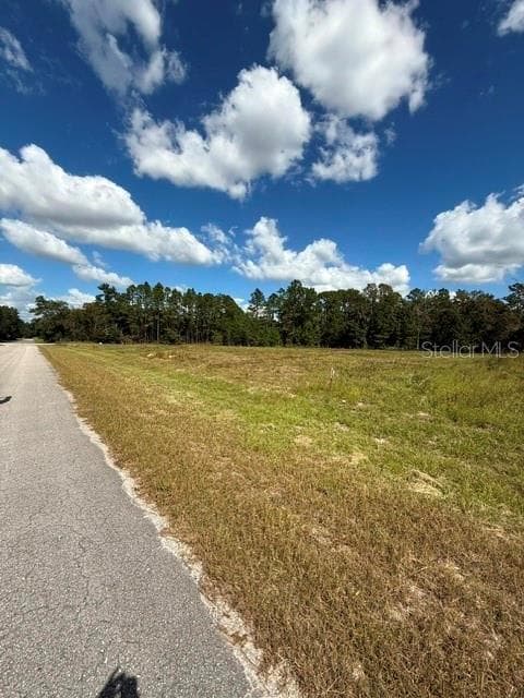 Land at xxx SW 59TH CT, OCALA, photo 7 of 8
