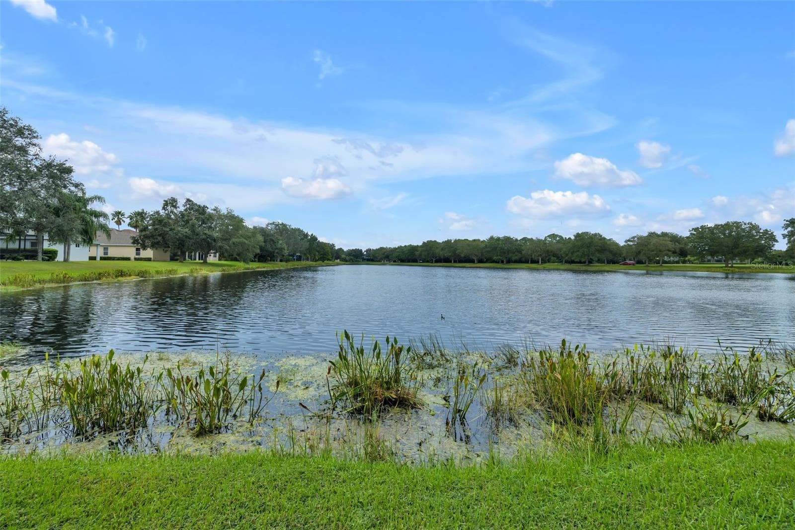 Single Family Residence at 12639 CARA CARA LOOP, BRADENTON, photo 40 of 62