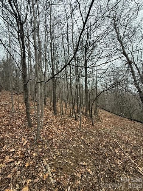 Acreage at 0 Threadway Ridge Drive, Moravian Falls, photo 6 of 10