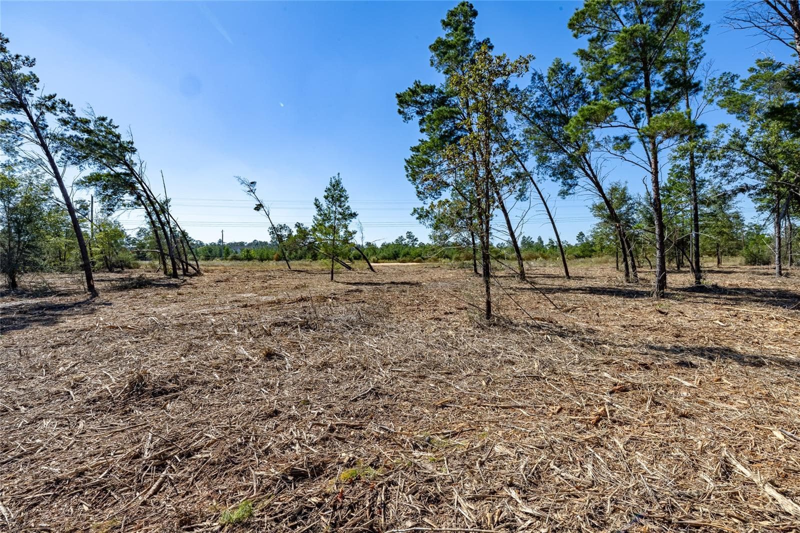Land at 16308 SINGER RD, YOUNGSTOWN, photo 2 of 9