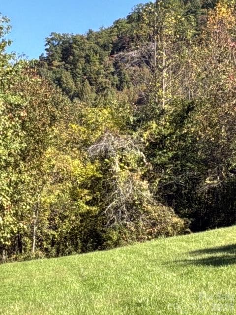 Acreage at 447 Hog Rock Road, Hendersonville, photo 3 of 10