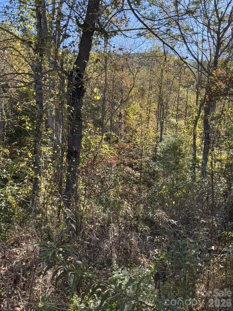 Acreage at 447 Hog Rock Road, Hendersonville, photo 6 of 10