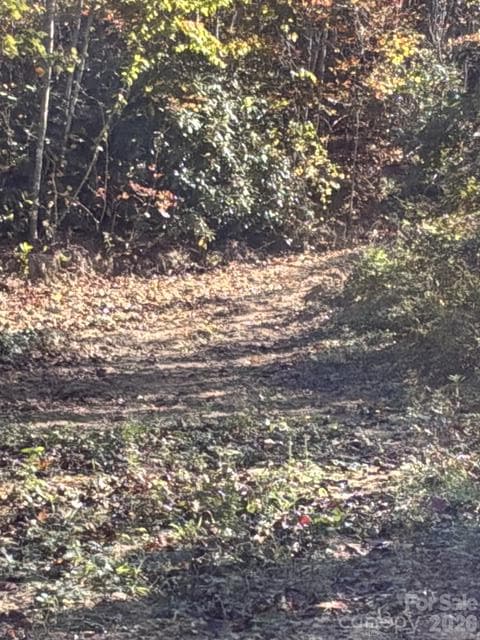 Acreage at 447 Hog Rock Road, Hendersonville, photo 7 of 10