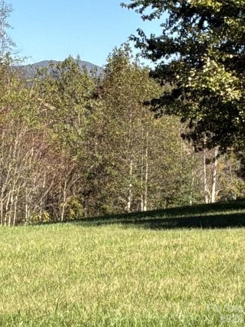 Acreage at 447 Hog Rock Road, Hendersonville, photo 9 of 10