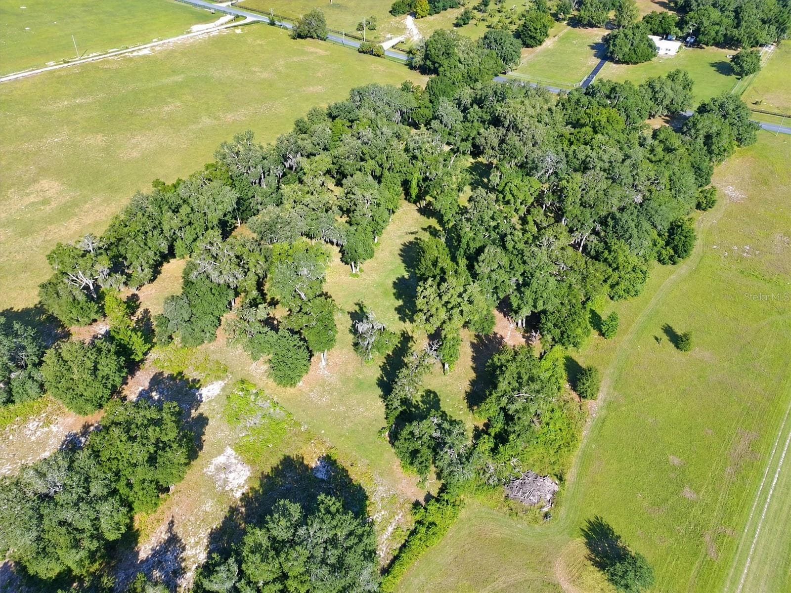 Land at 2930 GRIFFIN AVE, LADY LAKE, photo 19 of 31