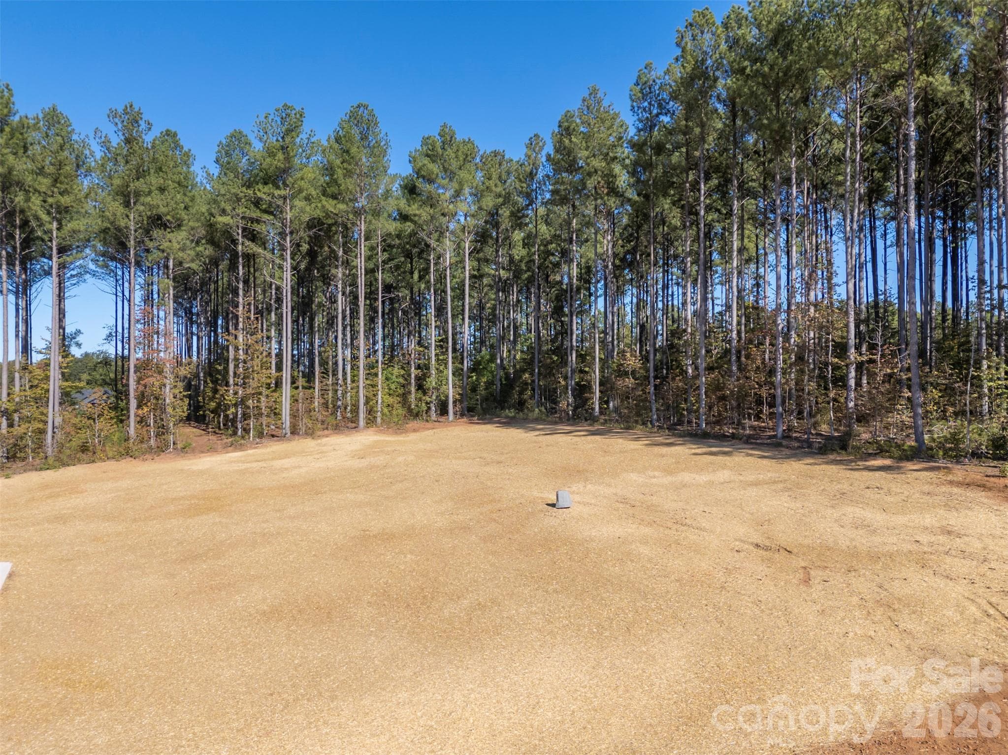 Single Family Residence at 1822 Piney Mountain Church Road, Bostic, photo 36 of 45