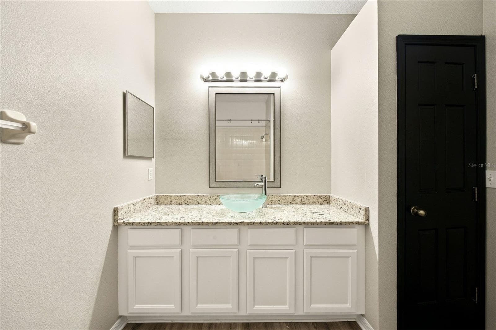 2nd bath - 30316 ELDERWOOD DR, WESLEY CHAPEL