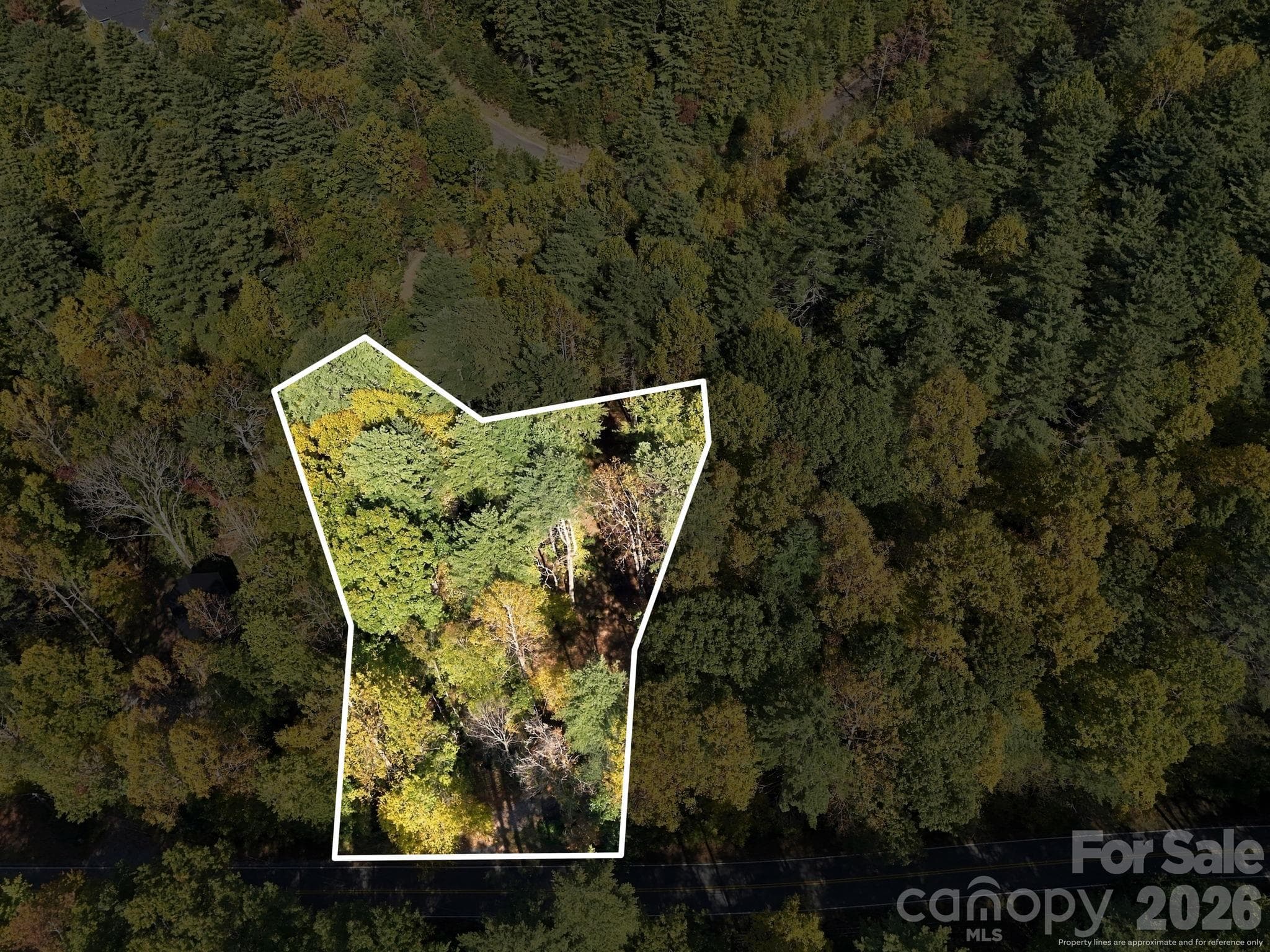 1.16 Acre Lot - 2230 Evans Road, Hendersonville