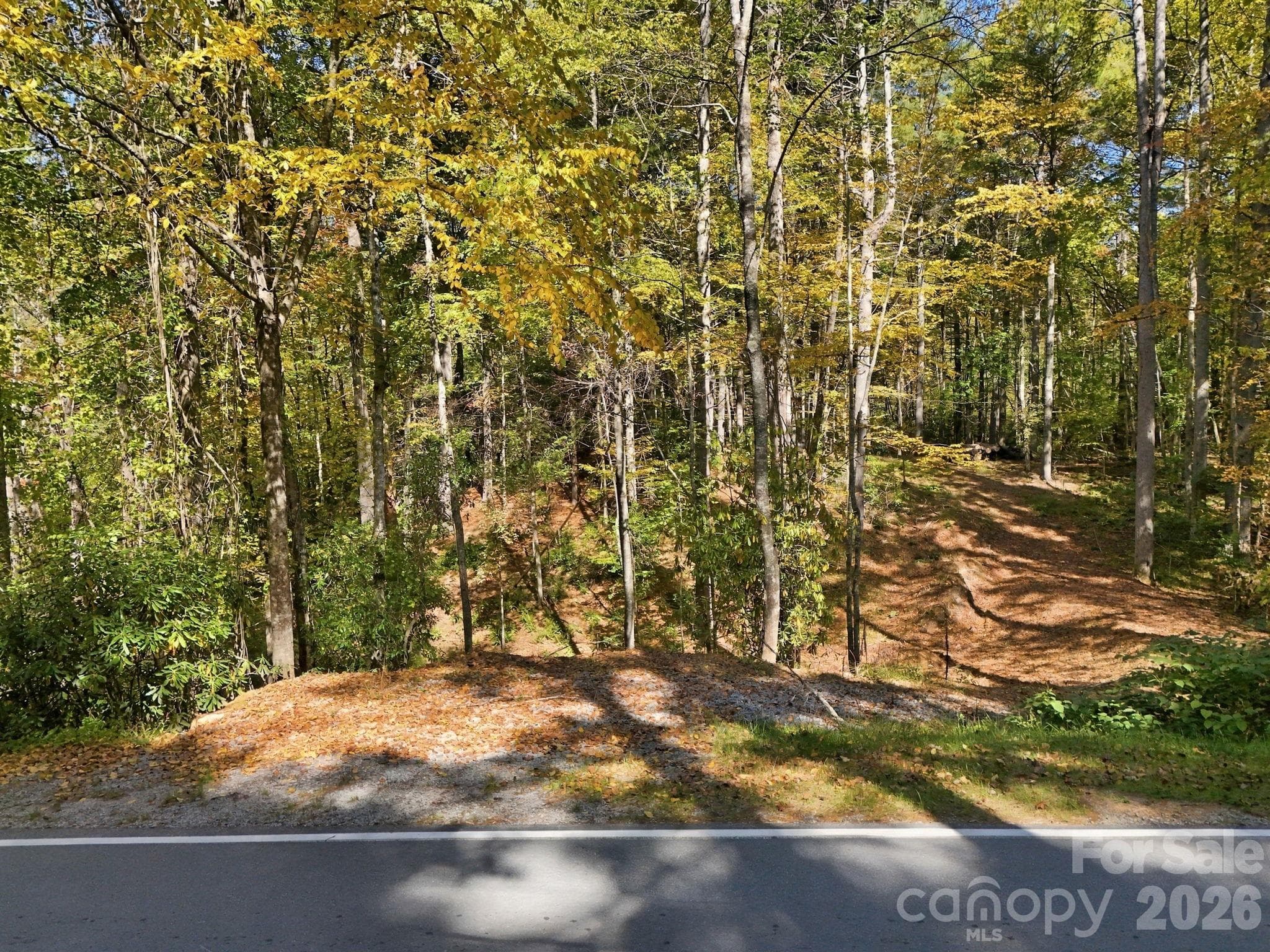 Single Family Residence at 2230 Evans Road, Hendersonville, photo 8 of 16