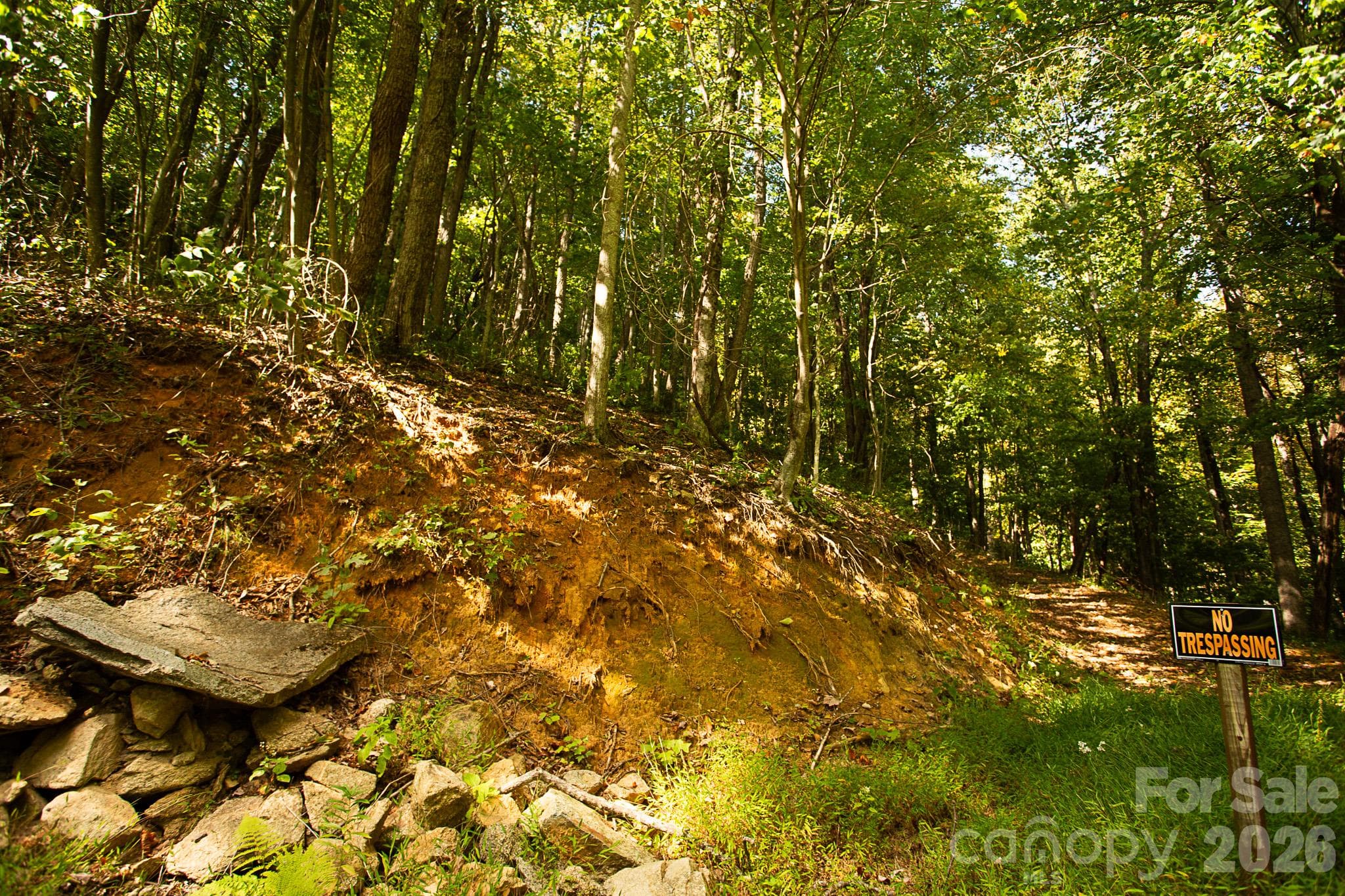 Lot at 000 White Oak Way, Hot Springs, photo 4 of 6