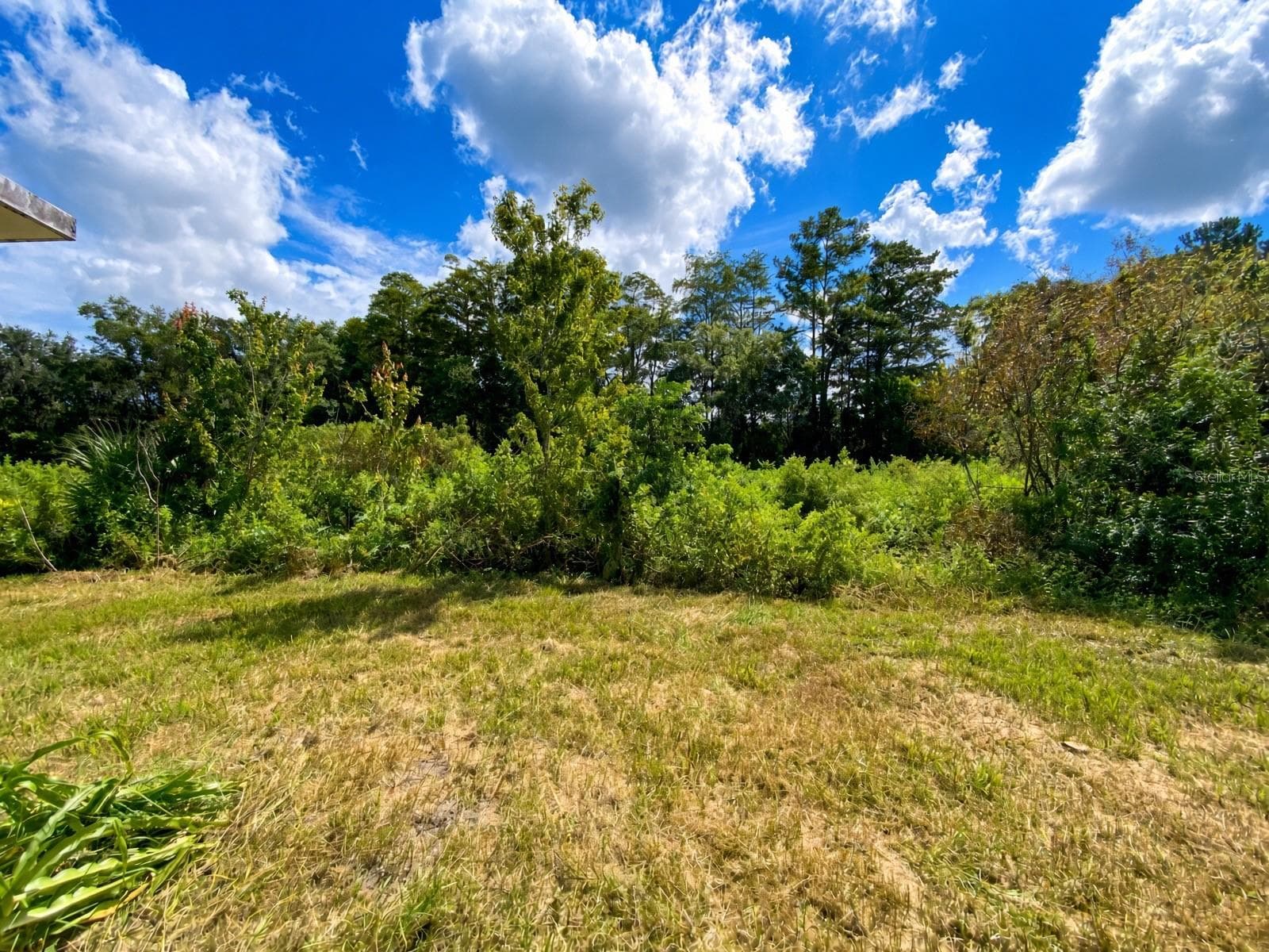 Rear View - 12622 TIMBERWOOD CT, HUDSON