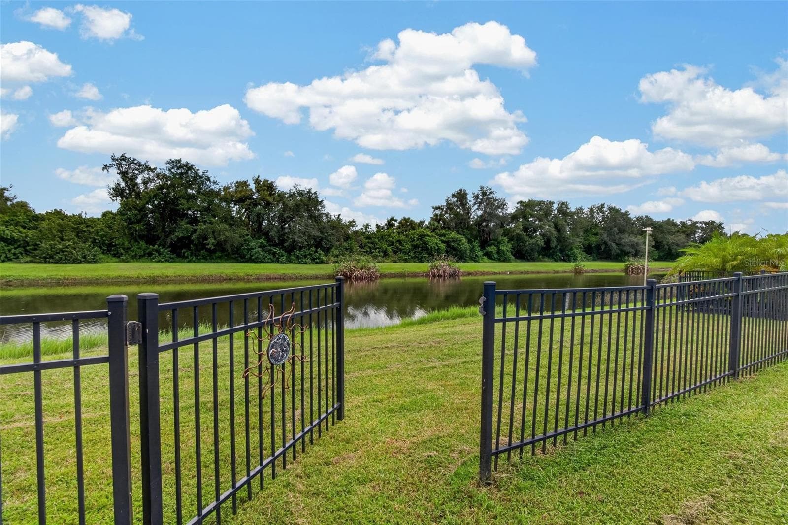 Single Family Residence at 302 STAR SHELL DR, APOLLO BEACH, photo 41 of 54