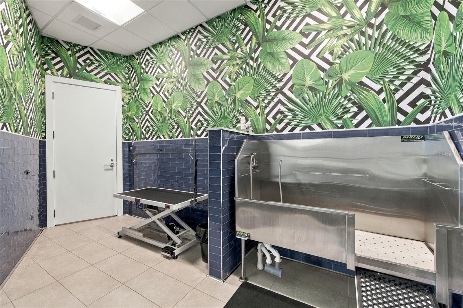 Dog Grooming Room - 275 1ST AVE S #3606, ST PETERSBURG