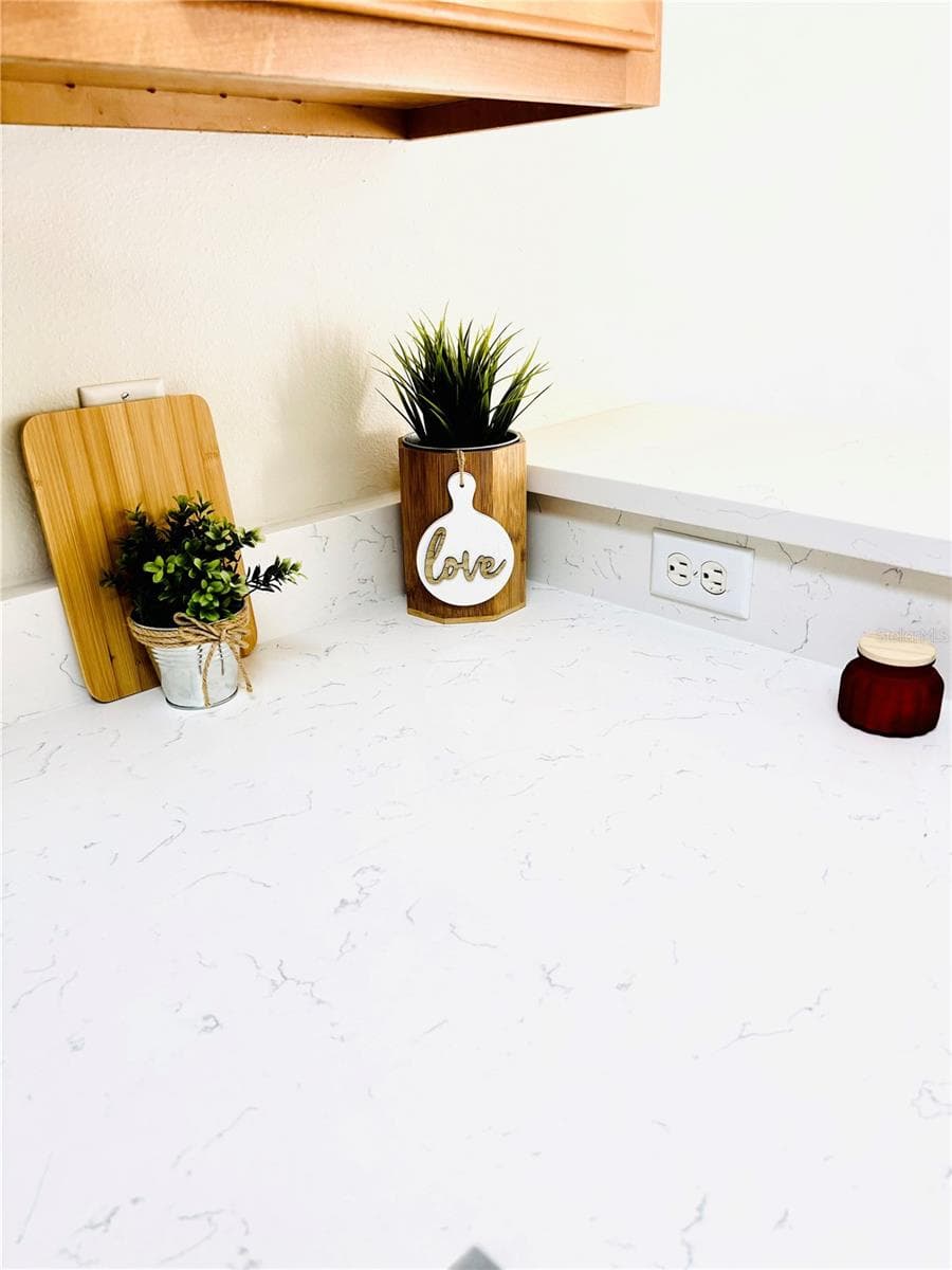 Quartz Countertop View - 20304 OAK KEY CT, TAMPA