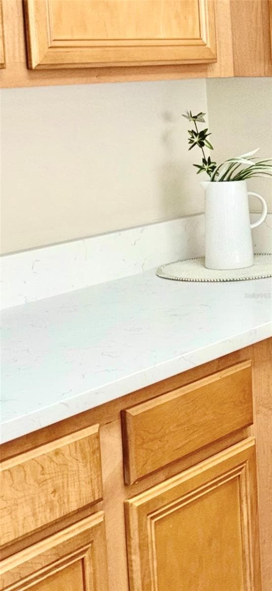Quartz Countertop View - 20304 OAK KEY CT, TAMPA