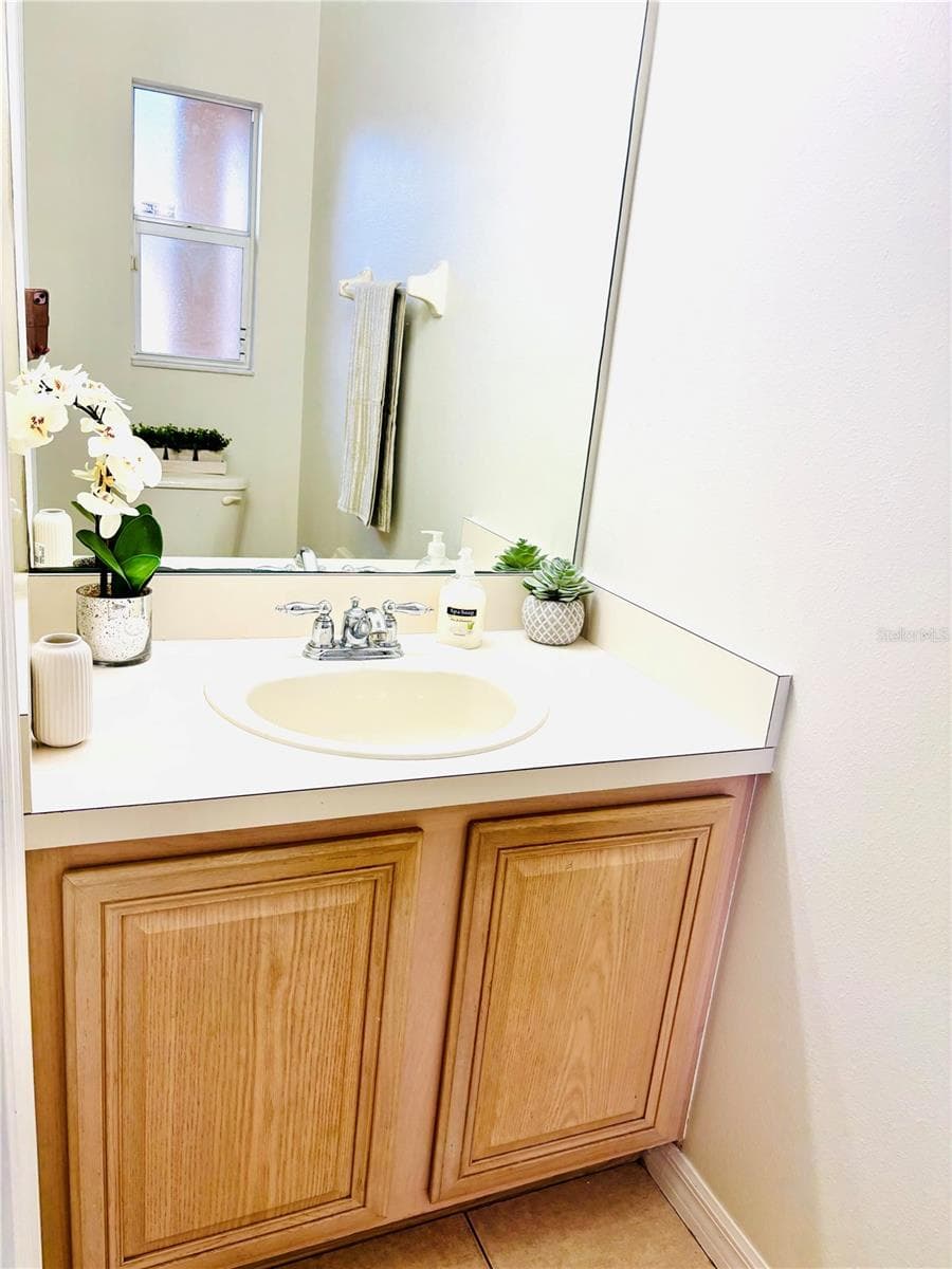 Powder Room - 20304 OAK KEY CT, TAMPA