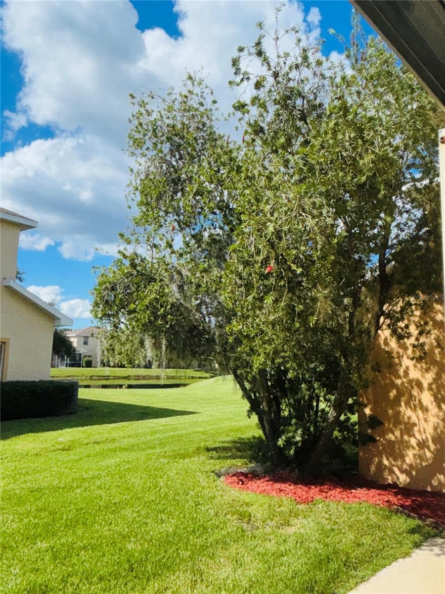 Backyard - 20304 OAK KEY CT, TAMPA