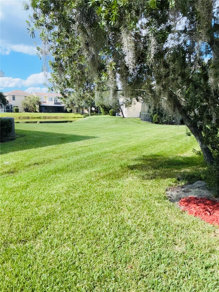 Backyard - 20304 OAK KEY CT, TAMPA