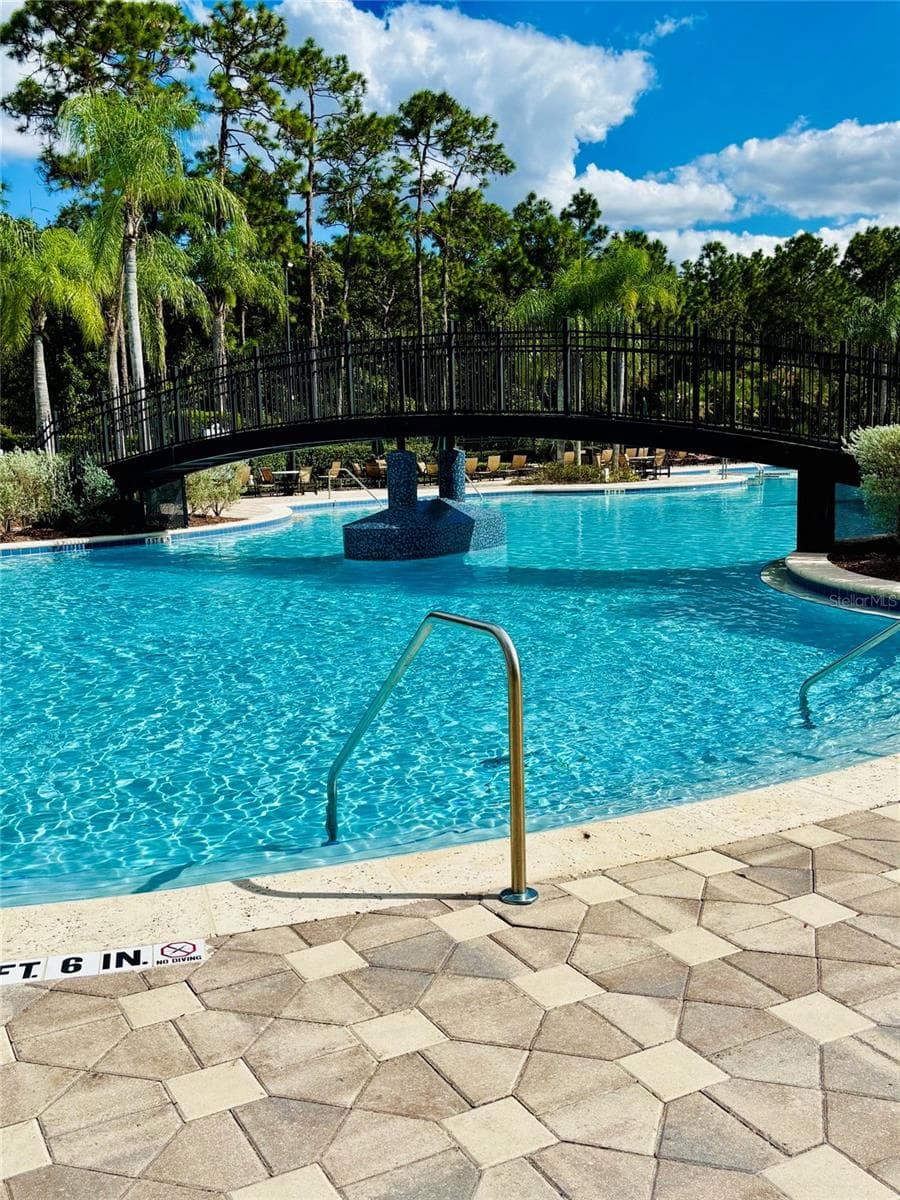 Pool - 20304 OAK KEY CT, TAMPA