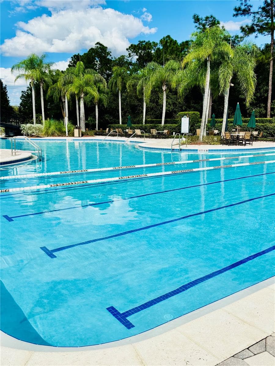 Lap Pool - 20304 OAK KEY CT, TAMPA