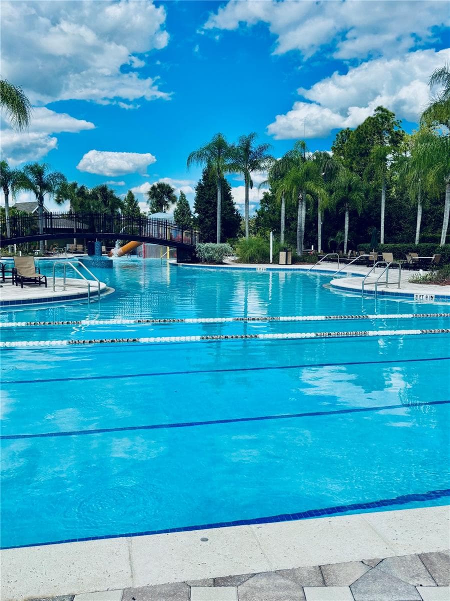 Lap Pool - 20304 OAK KEY CT, TAMPA