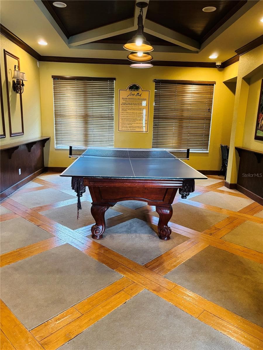 Ping Pong/Pool Table - 20304 OAK KEY CT, TAMPA