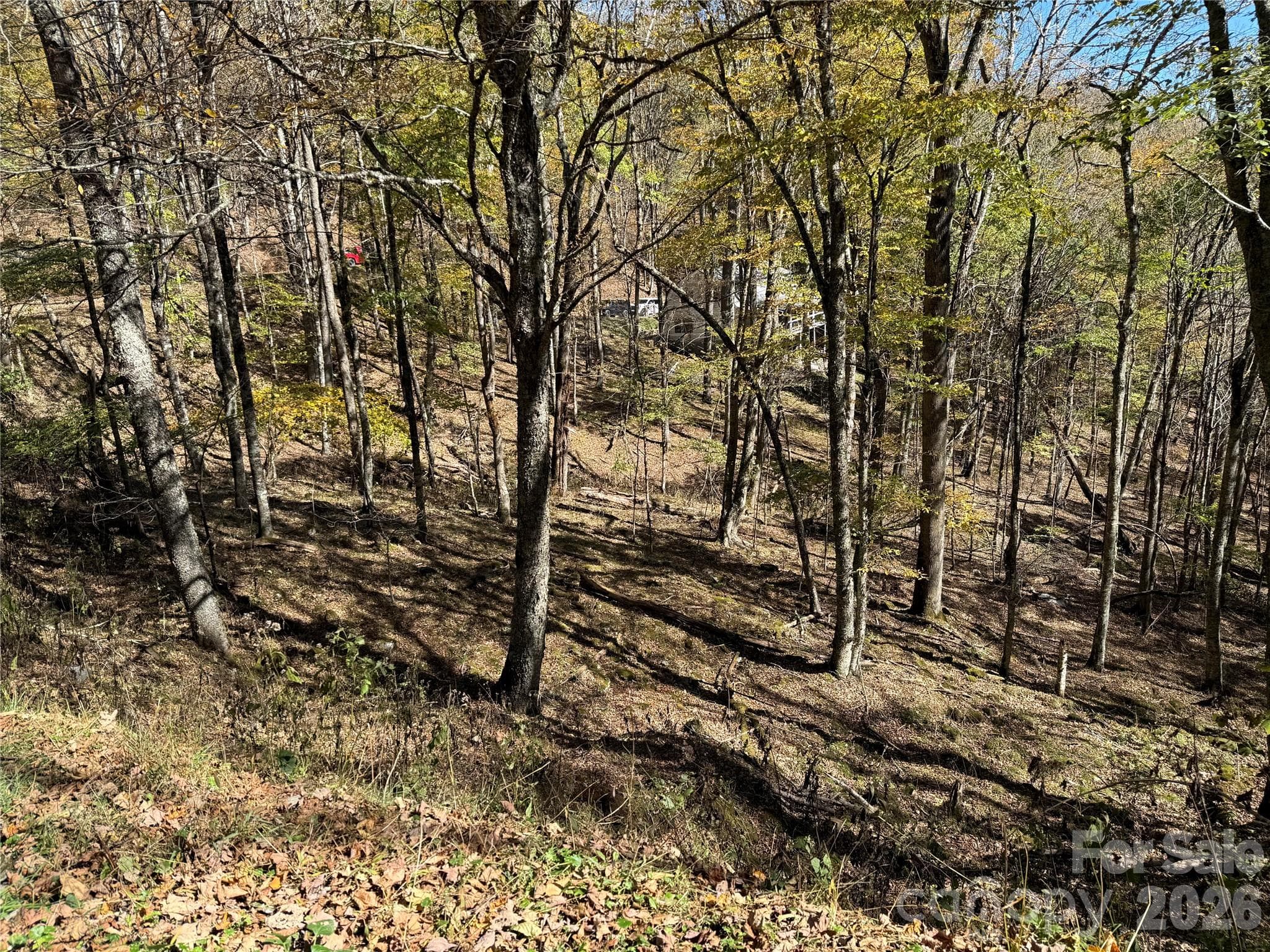 Lot at 22 Trillium Lane, Mars Hill, photo 5 of 27