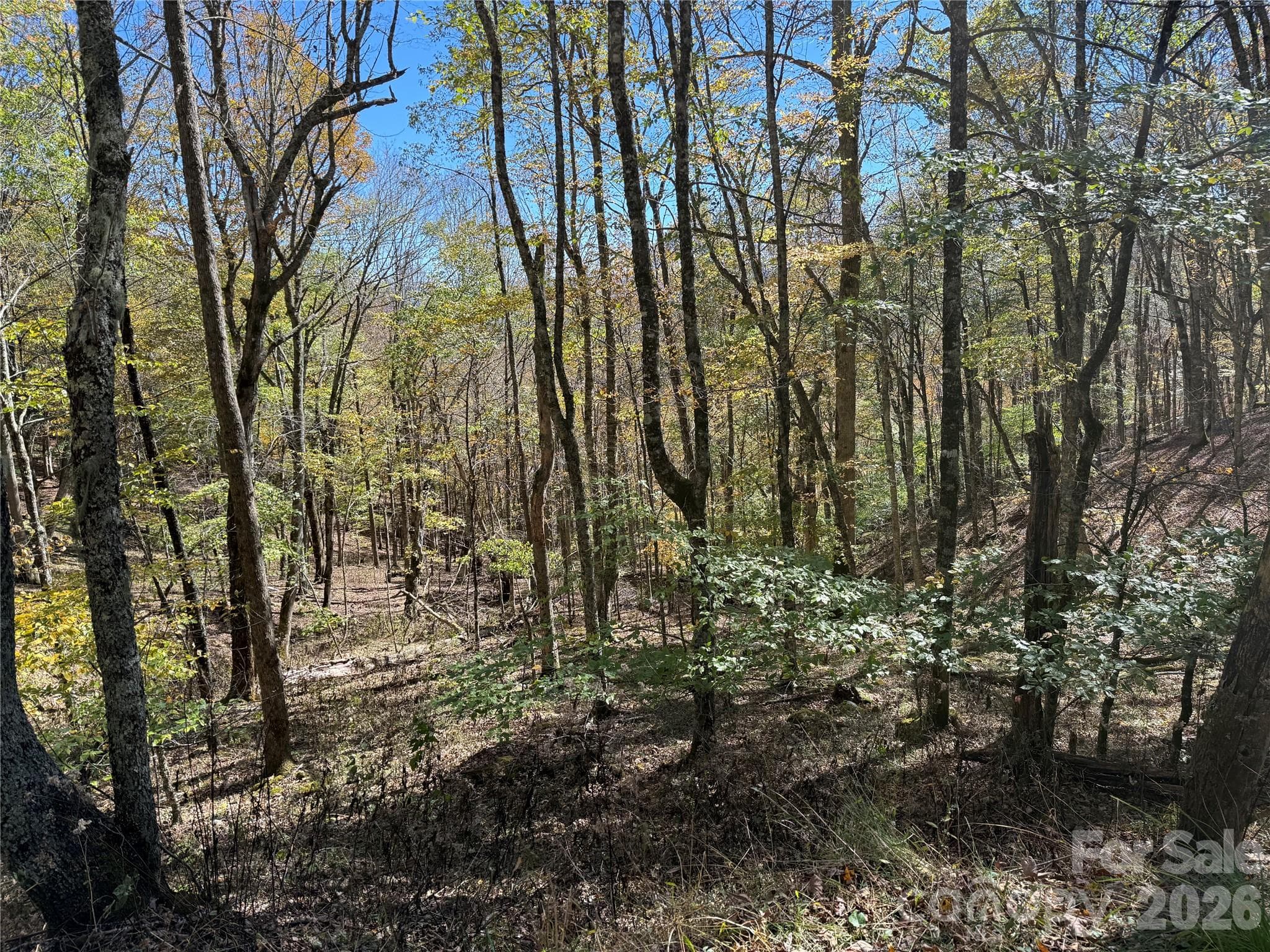 Lot at 22 Trillium Lane, Mars Hill, photo 6 of 27
