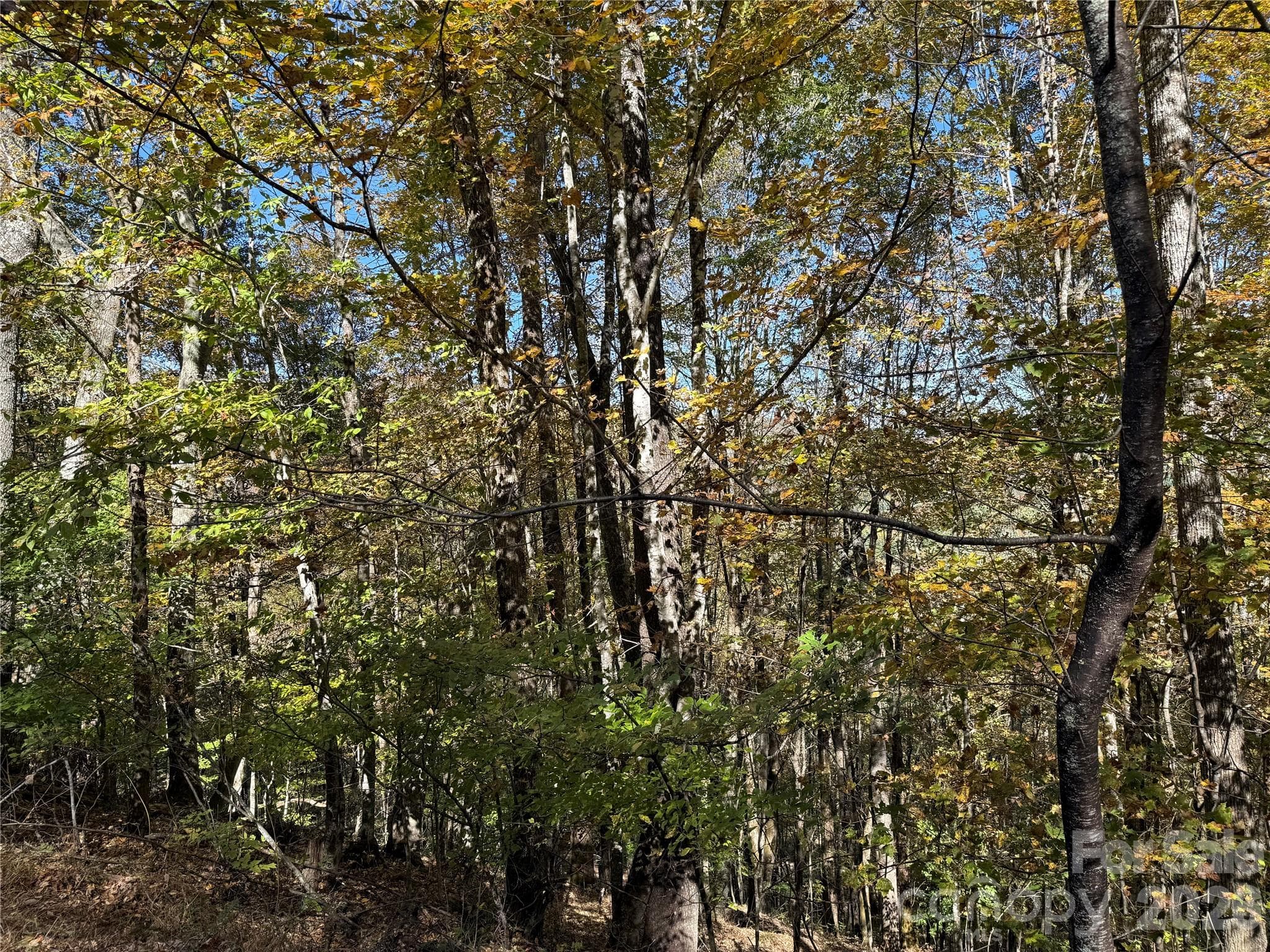 Lot at 22 Trillium Lane, Mars Hill, photo 7 of 27