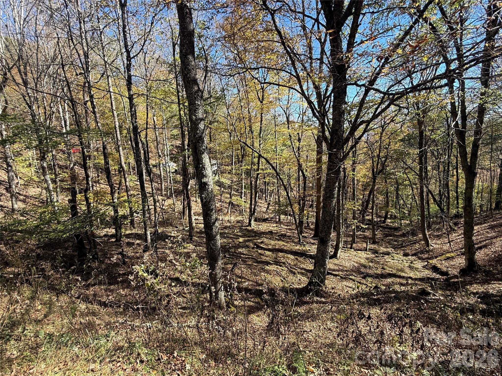 Lot at 22 Trillium Lane, Mars Hill, photo 10 of 27