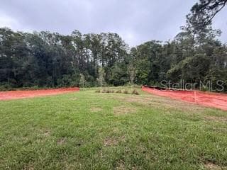 Single Family Residence at 11899 SHINE VIEW LN, WINTER GARDEN, photo 18 of 89