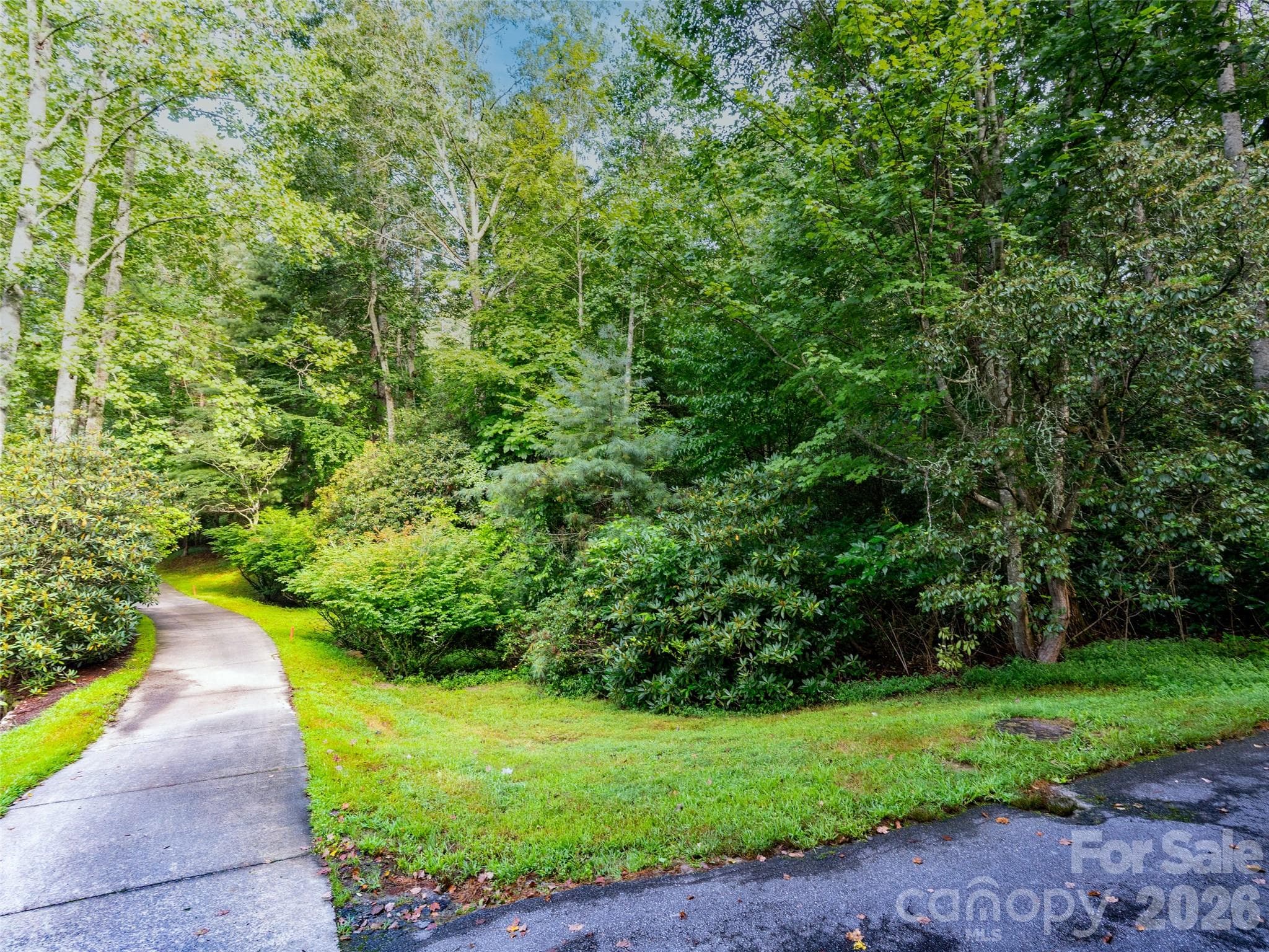 Lot at 153 Chattooga Run, Hendersonville, photo 13 of 24