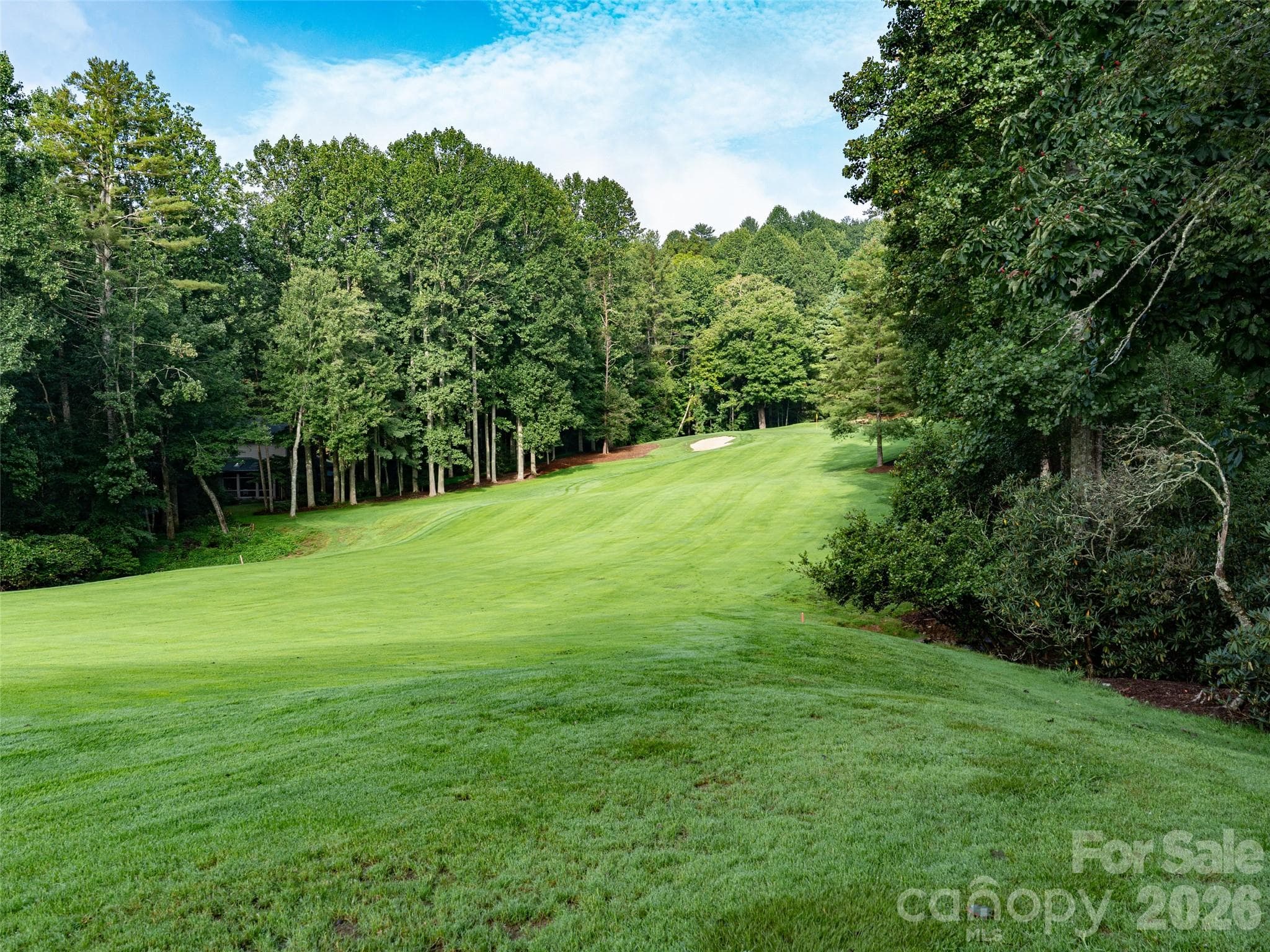 Lot at 153 Chattooga Run, Hendersonville, photo 14 of 24