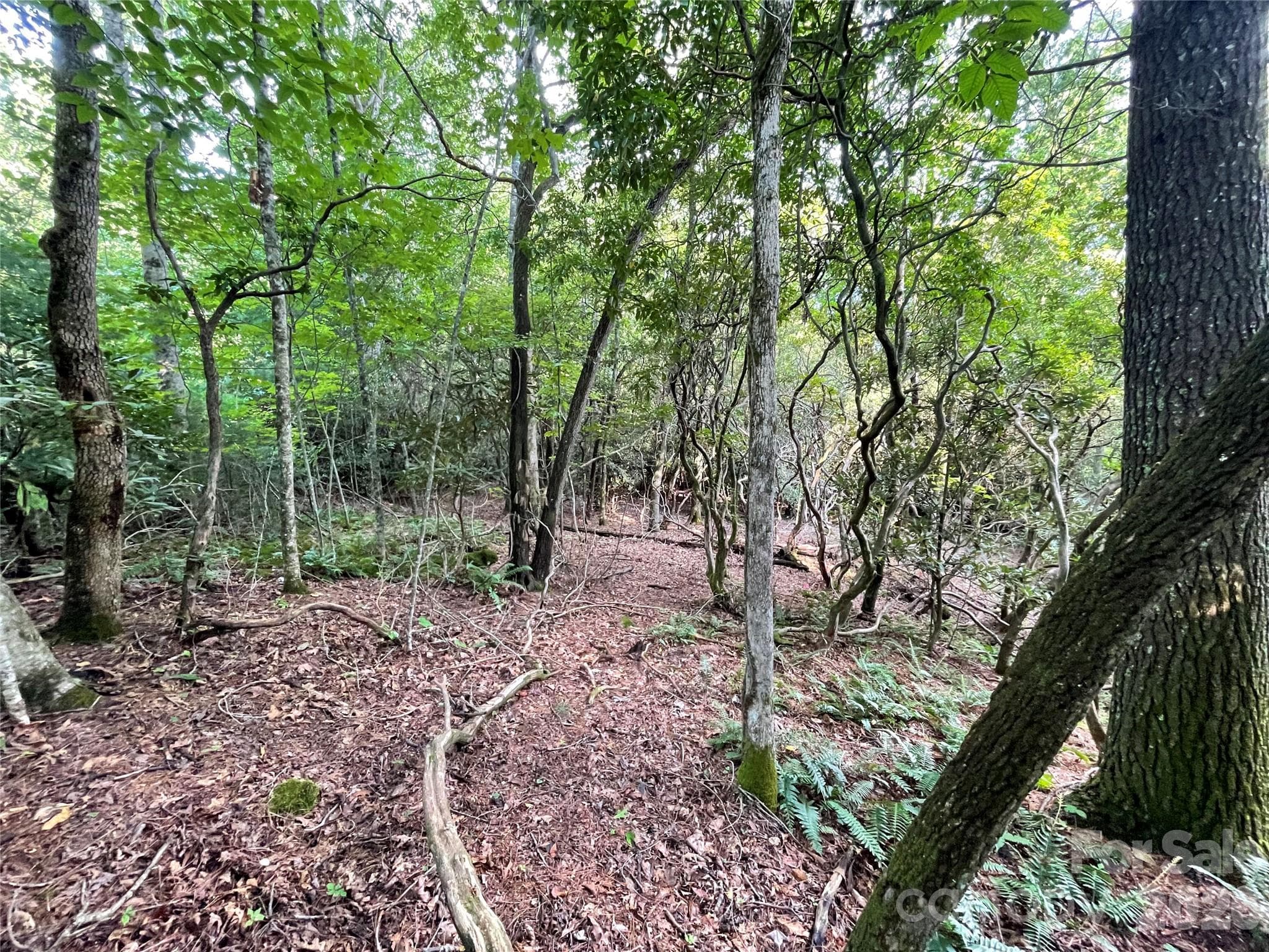 Lot at 153 Chattooga Run, Hendersonville, photo 17 of 24