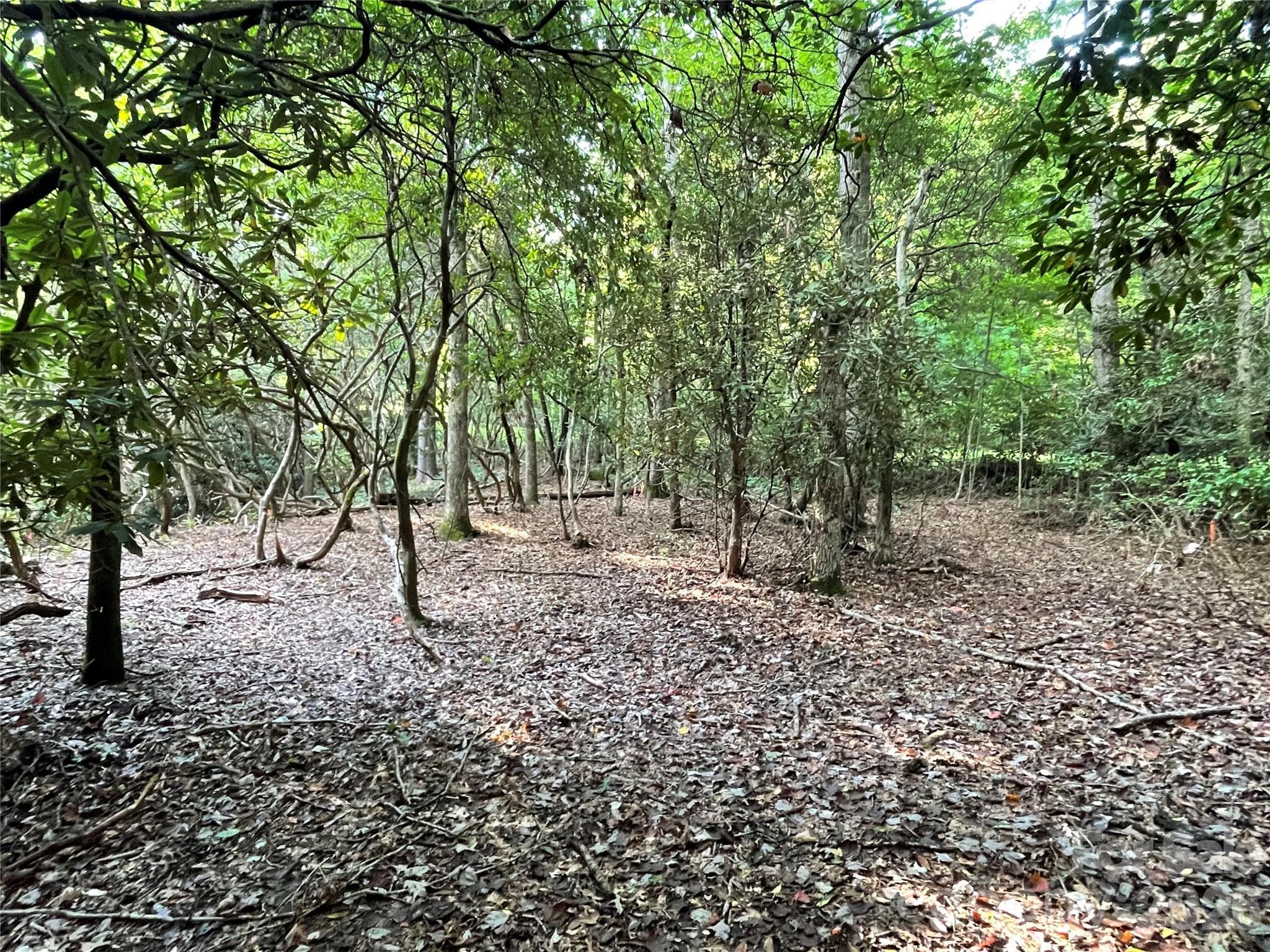 Lot at 153 Chattooga Run, Hendersonville, photo 18 of 24