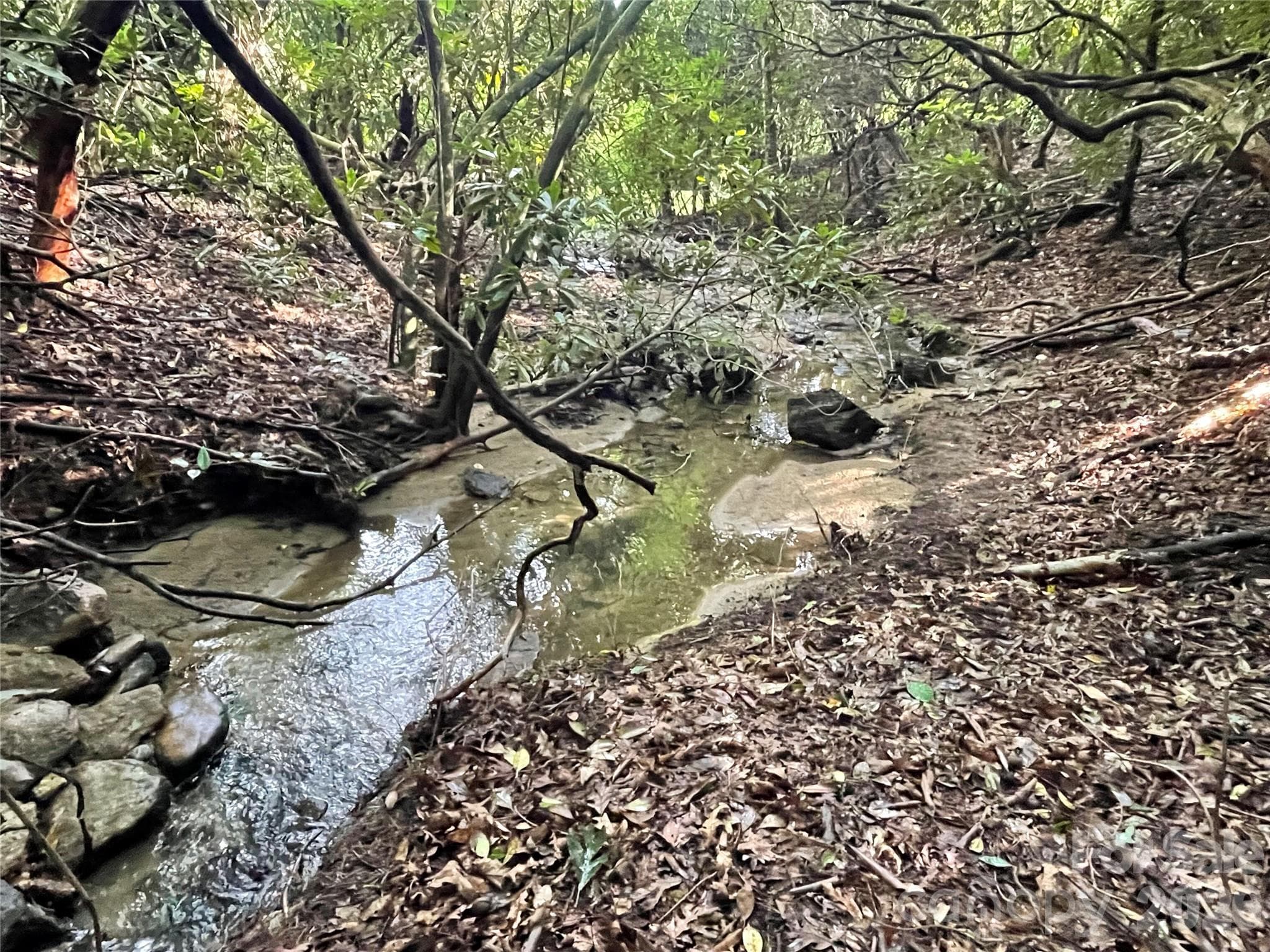 Lot at 153 Chattooga Run, Hendersonville, photo 19 of 24