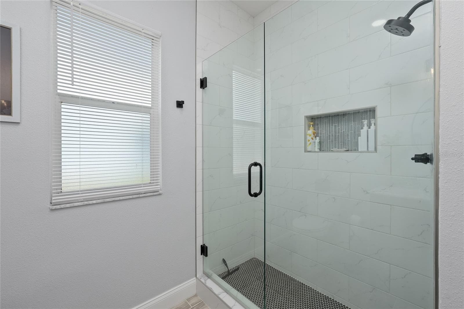 Single Family Residence at 15819 MUIRFIELD DR, ODESSA, photo 19 of 40