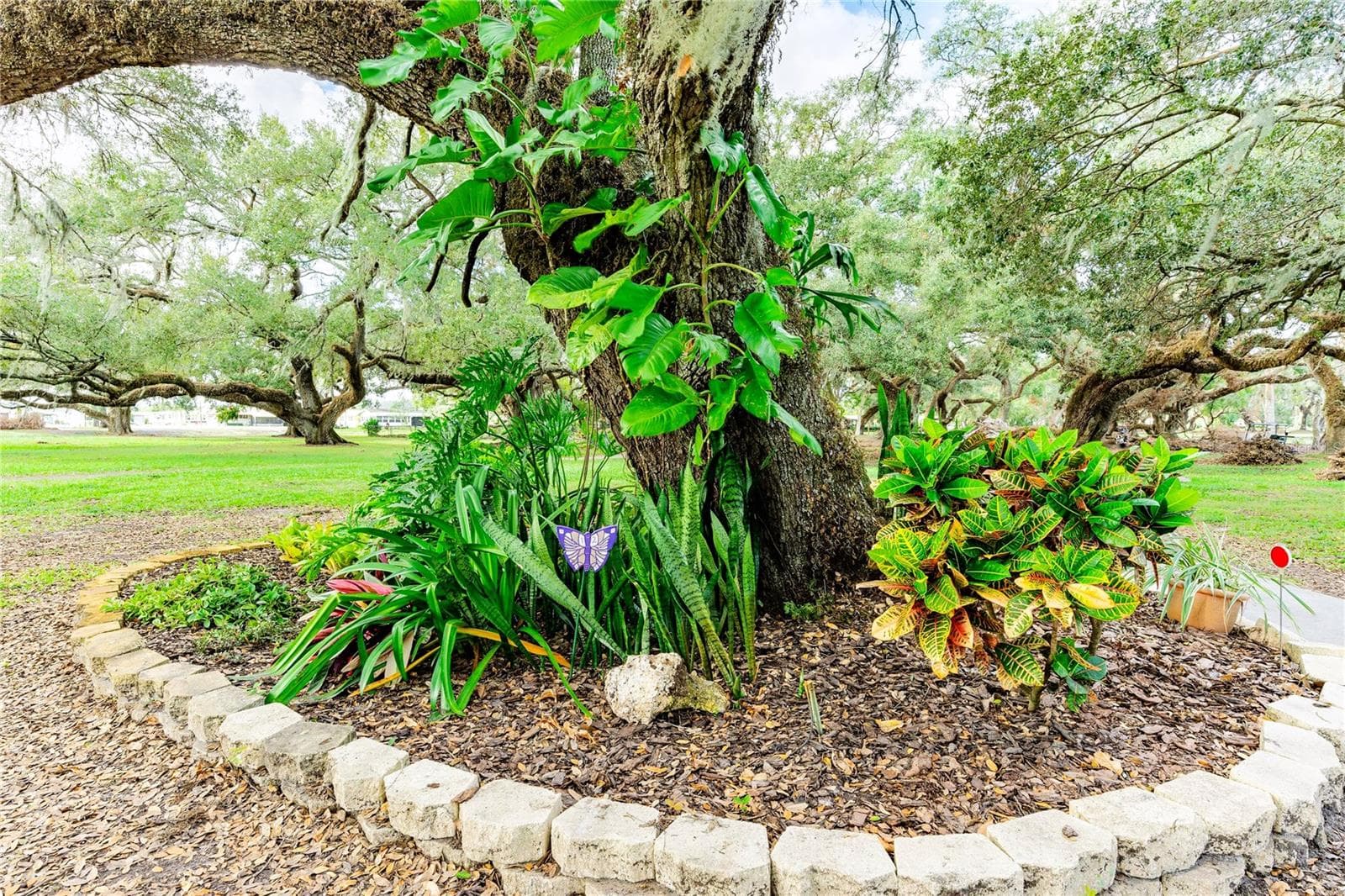 Many community gardens. - 37332 SANDRA AVE, ZEPHYRHILLS