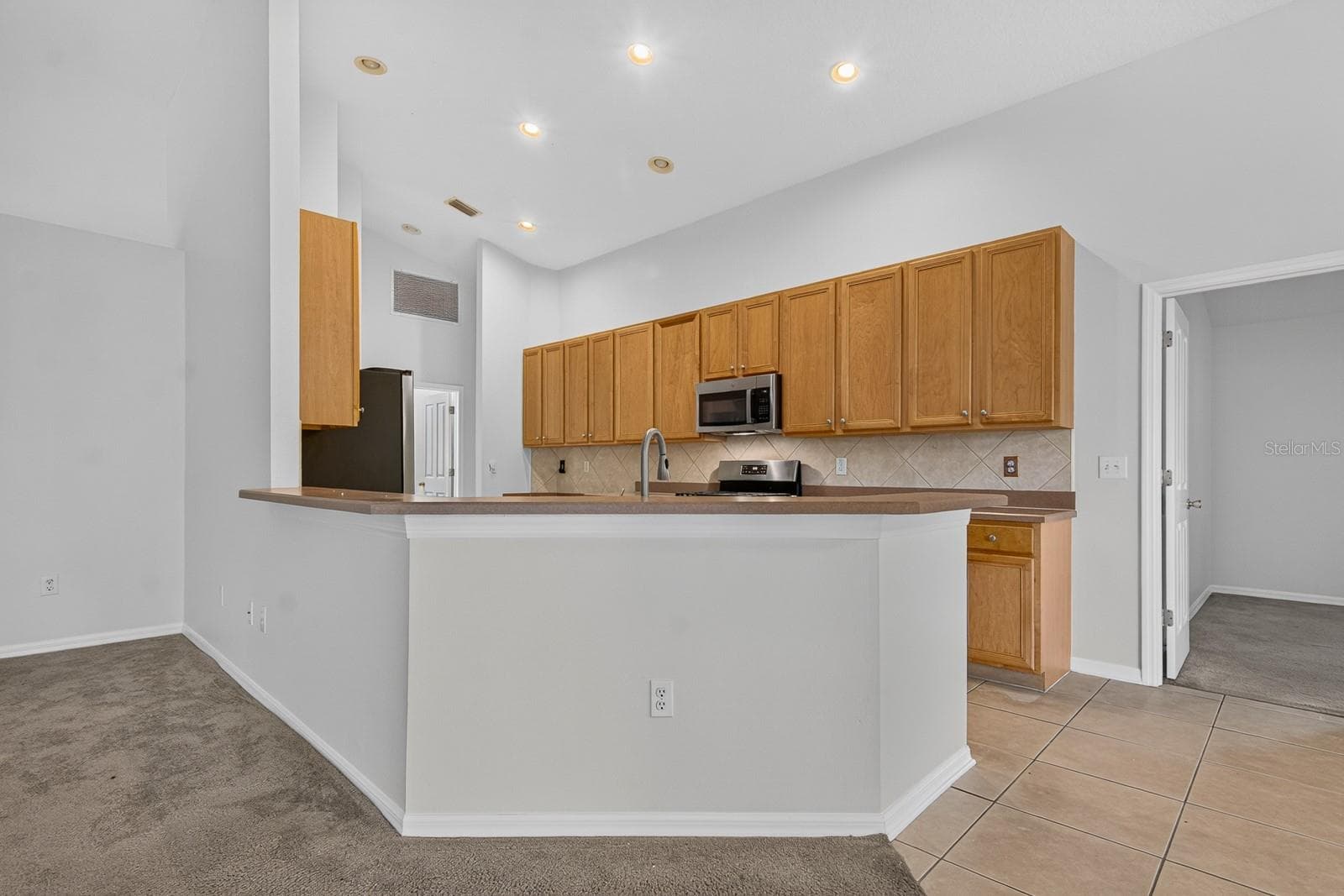 Kitchen - 10527 SAN TRAVASO DR, TAMPA