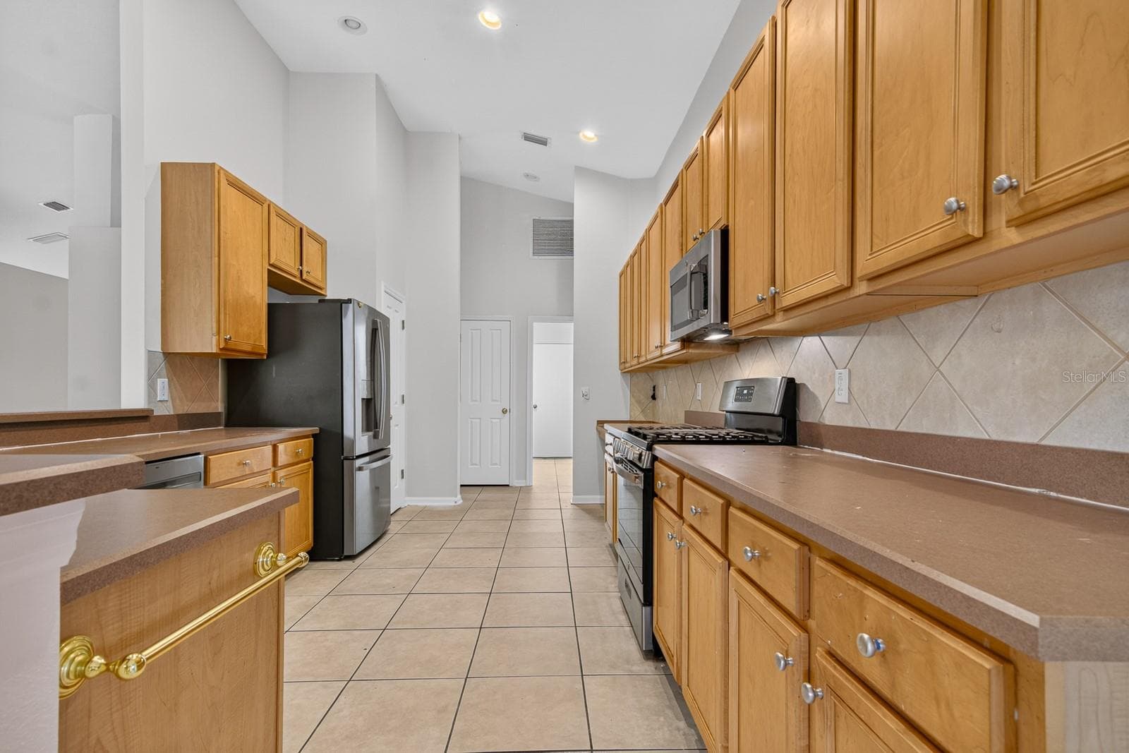 Kitchen - 10527 SAN TRAVASO DR, TAMPA