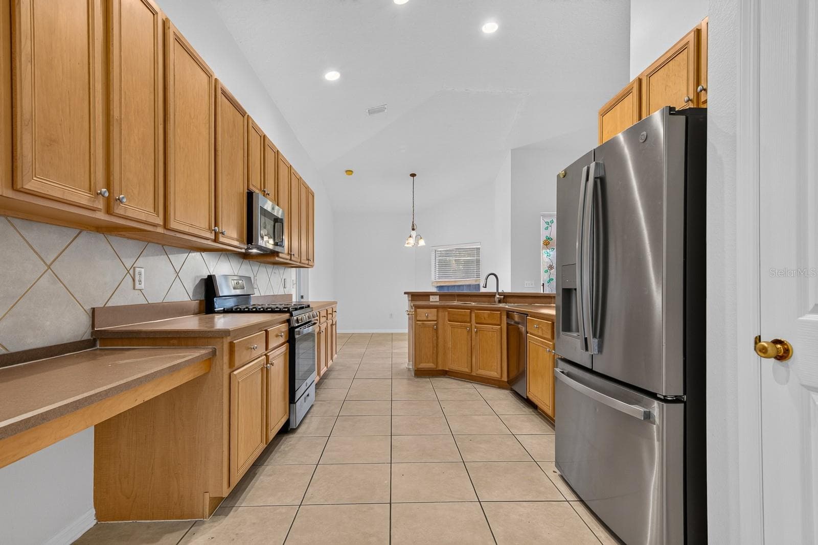 Kitchen - 10527 SAN TRAVASO DR, TAMPA