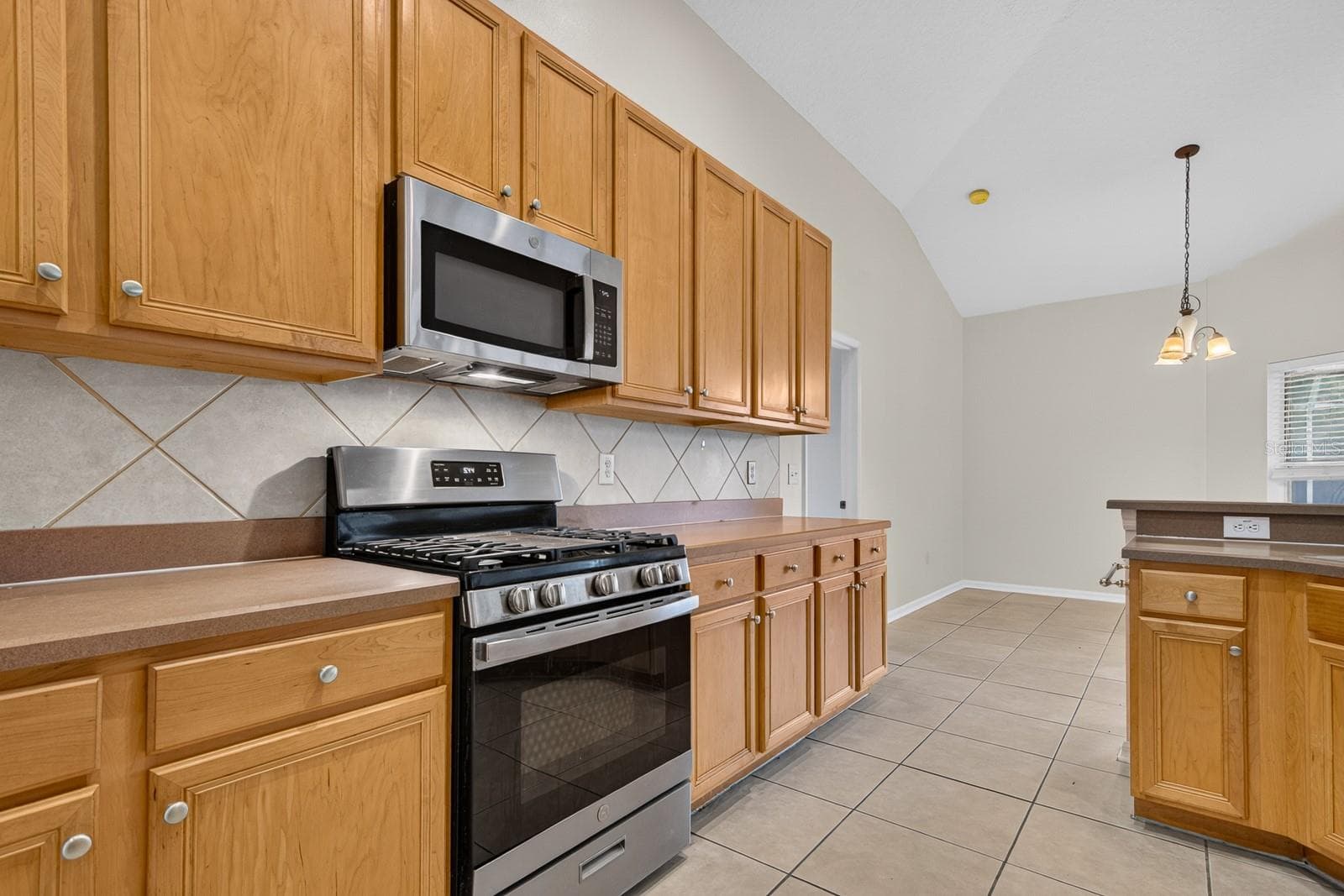 Kitchen - 10527 SAN TRAVASO DR, TAMPA