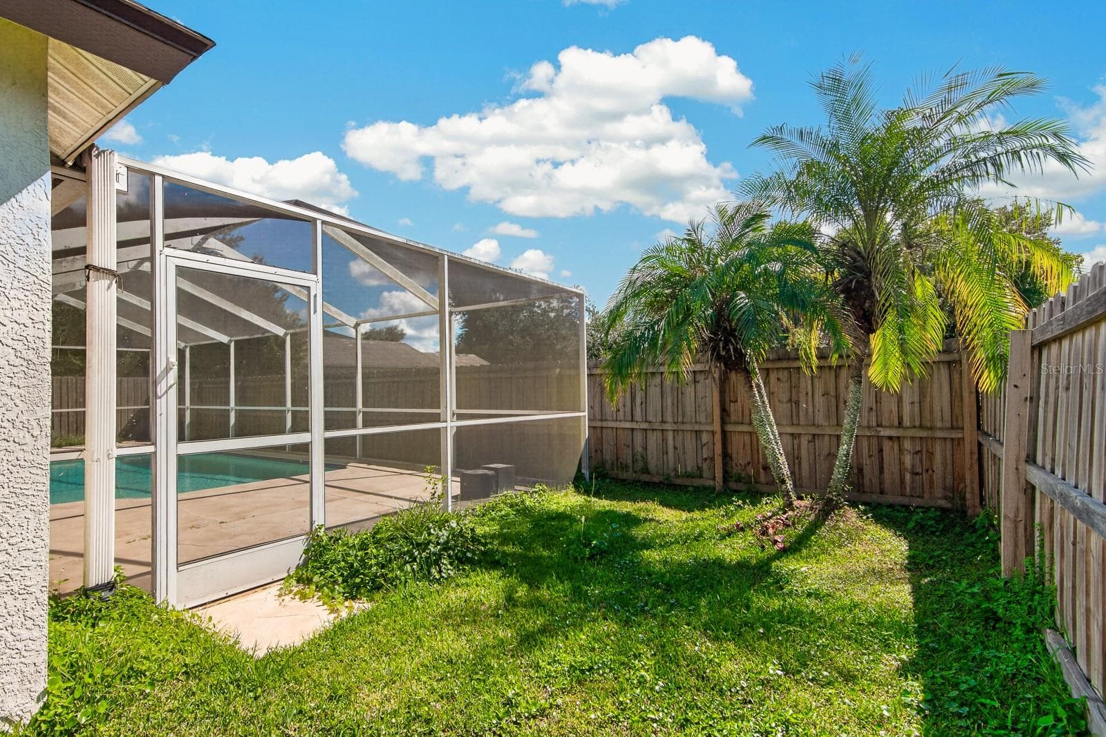 Yard - 10527 SAN TRAVASO DR, TAMPA