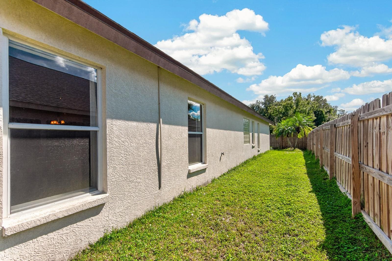 Yard - 10527 SAN TRAVASO DR, TAMPA