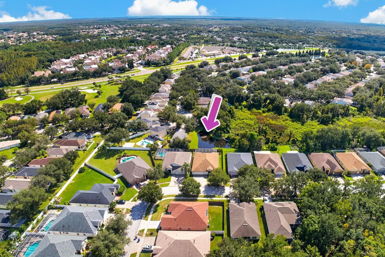 Single Family Residence at 10527 SAN TRAVASO DR, TAMPA, photo 61 of 63