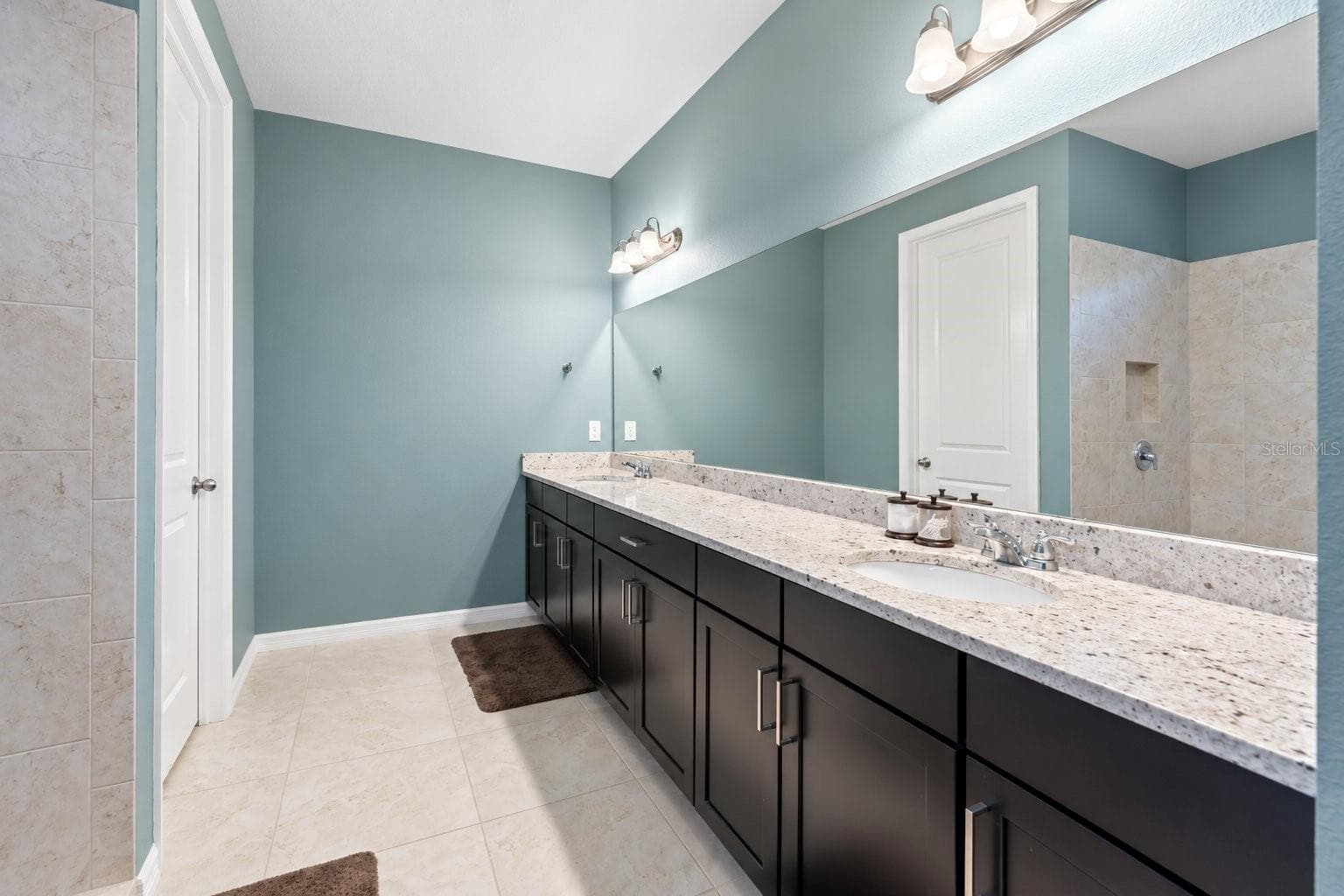 Single Family Residence at 18922 ROSEATE DR, LUTZ, photo 24 of 44